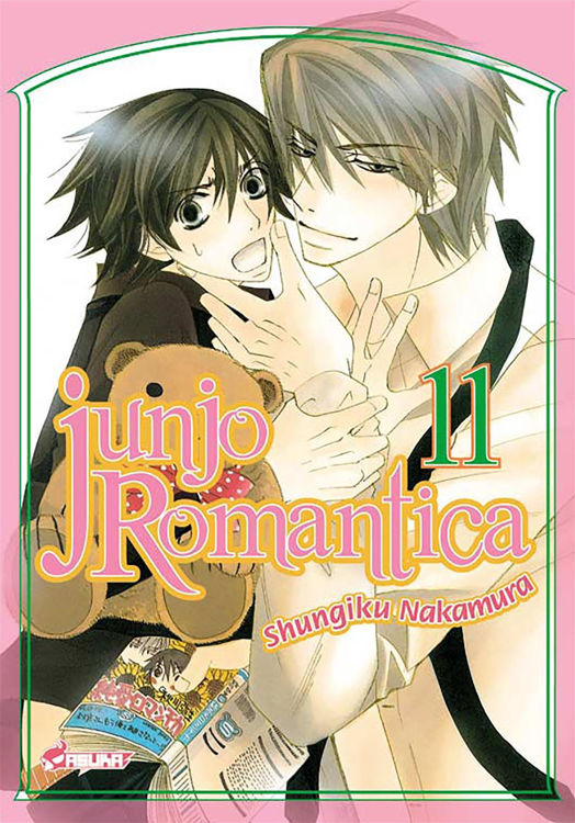 Image de Junjo Romantica Tome 11