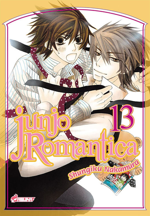 Image de Junjo Romantica Tome 13