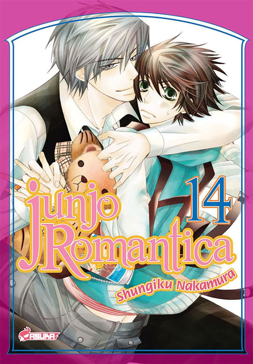 Image de Junjo Romantica Tome 14