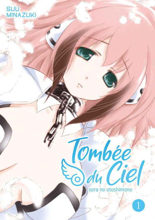 Tombée Du Ciel - Tombe 01