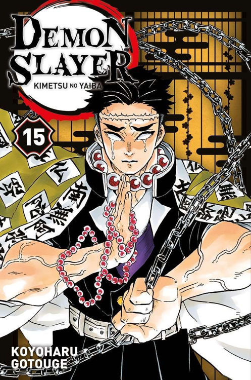 Demon Slayer Kimetsu no Yaiba - 0006277 Demon Slayer Kimetsu No Yaiba Tome 15 750 