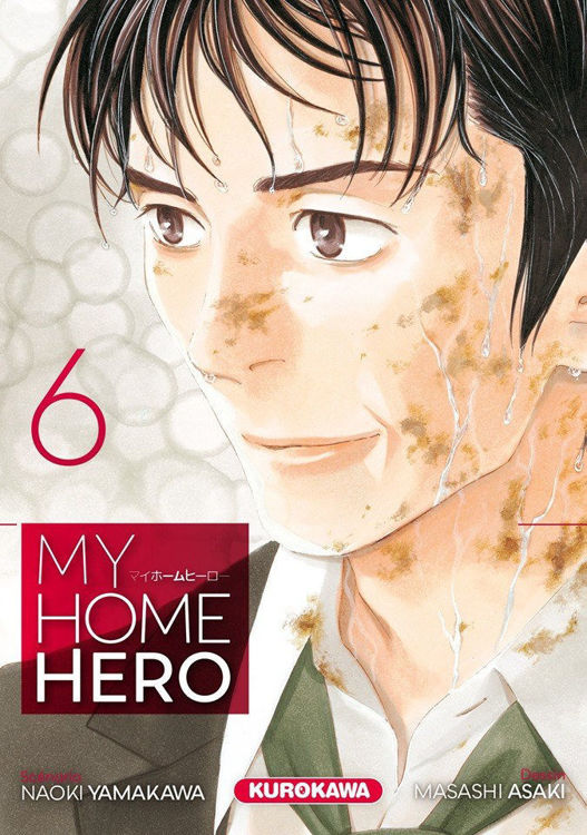 My Home Hero Tome 06