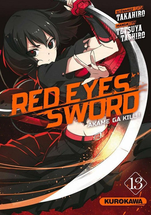 Red Eyes Sword Tome 13