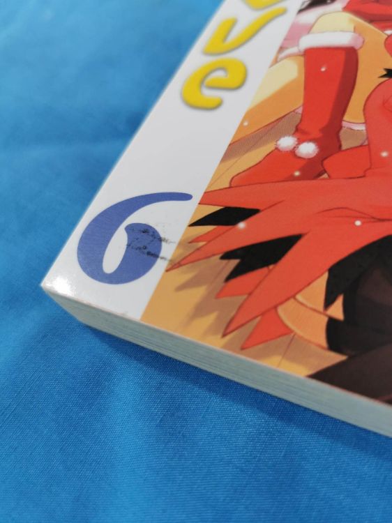 Love Hina Tome 06 (ocassion)