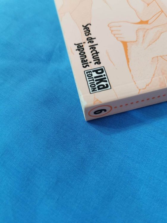 Love Hina Tome 06 (ocassion)