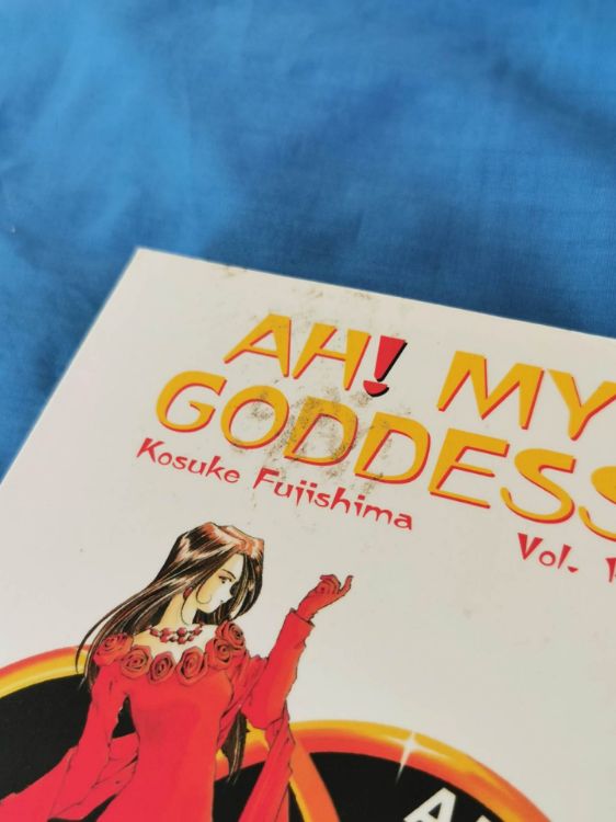 Ah! My Goddess Tome 14 (occasion)