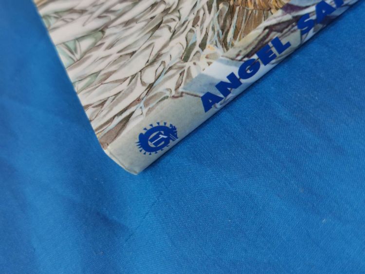Angel Sanctuary Tome 13 (Occasion)